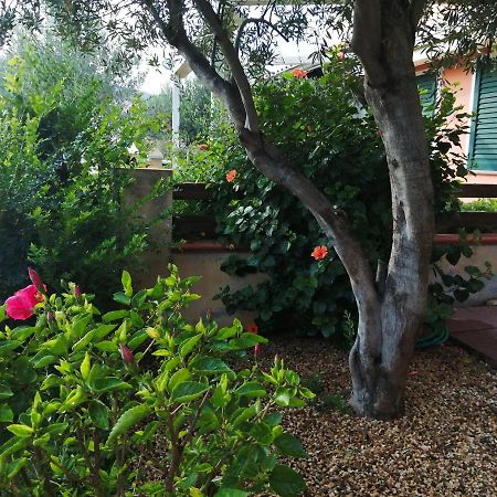 La Casa Nel Borgo Villa Chia Dış mekan fotoğraf