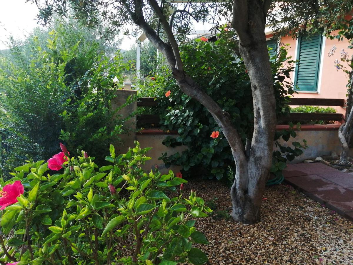 La Casa Nel Borgo Villa Chia Dış mekan fotoğraf